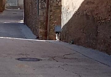 PLA IMPULSDIPTA – DIPUTACIÓ DE TARRAGONA