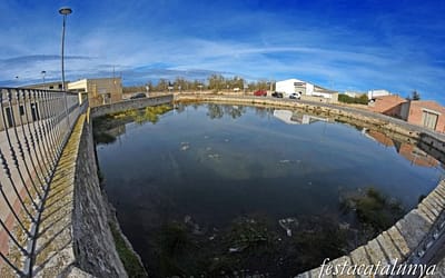 Bassa Bona de Vilalba dels Arcs