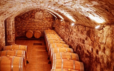 Celler Xavier Clua