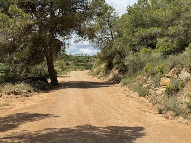 Camí costa del Senyor